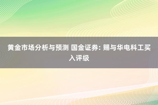 黄金市场分析与预测 国金证券: 赐与华电科工买入评级