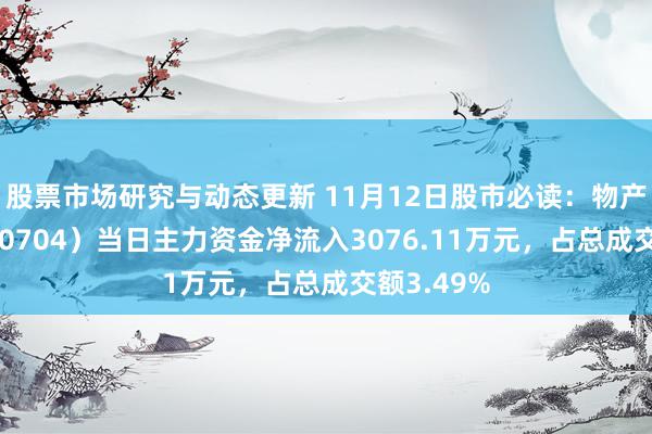 股票市场研究与动态更新 11月12日股市必读：物产中大（600704）当日主力资金净流入3076.11万元，占总成交额3.49%