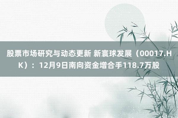 股票市场研究与动态更新 新寰球发展（00017.HK）：12