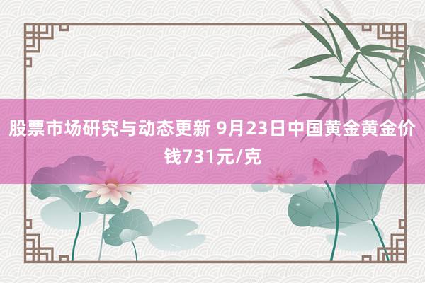 股票市场研究与动态更新 9月23日中国黄金黄金价钱731元/克