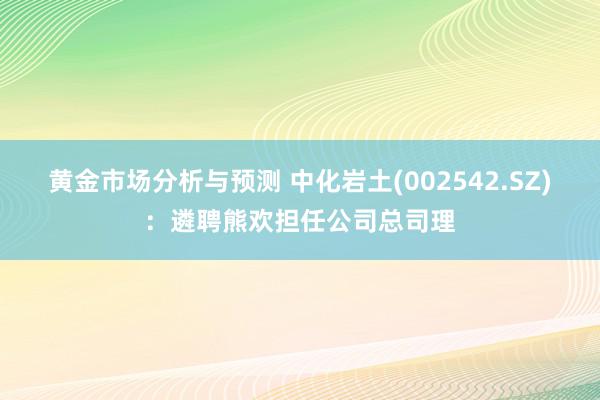 黄金市场分析与预测 中化岩土(002542.SZ)：遴聘熊欢担任公司总司理