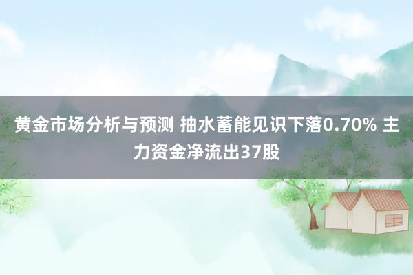 黄金市场分析与预测 抽水蓄能见识下落0.70% 主力资金净流出37股