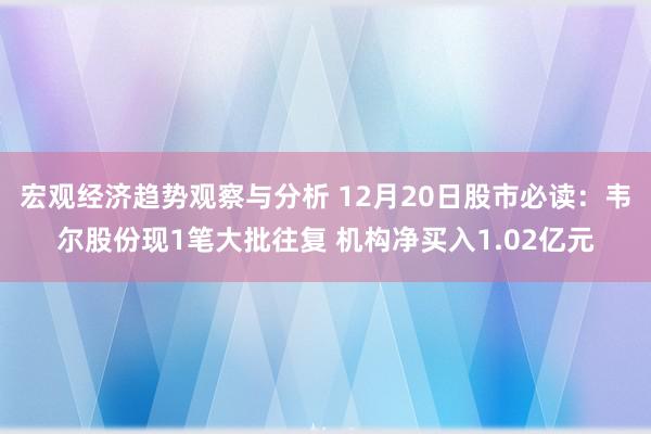 宏观经济趋势观察与分析 12月20日股市必读：韦尔股份现1笔大批往复 机构净买入1.02亿元