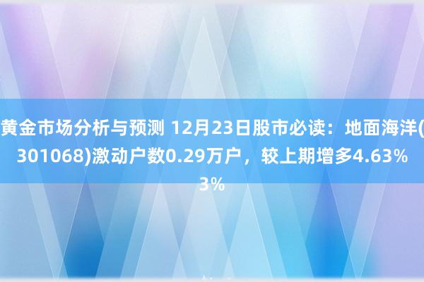 黄金市场分析与预测 12月23日股市必读：地面海洋(3010