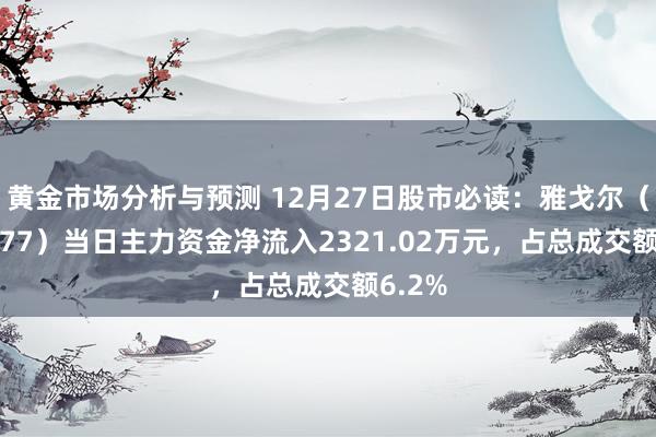 黄金市场分析与预测 12月27日股市必读：雅戈尔（600177）当日主力资金净流入2321.02万元，占总成交额6.2%