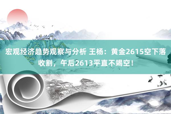 宏观经济趋势观察与分析 王杨：黄金2615空下落收割，午后2613平直不竭空！