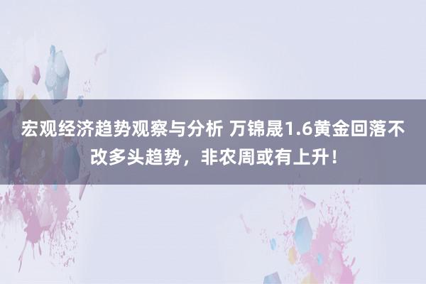 宏观经济趋势观察与分析 万锦晟1.6黄金回落不改多头趋势，非农周或有上升！