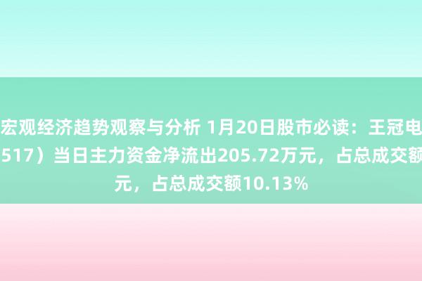 宏观经济趋势观察与分析 1月20日股市必读：王冠电气（688517）当日主力资金净流出205.72万元，占总成交额10.13%