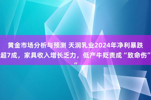 黄金市场分析与预测 天润乳业2024年净利暴跌超7成，家具收