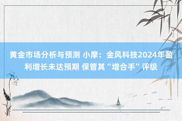 黄金市场分析与预测 小摩：金风科技2024年盈利增长未达预期