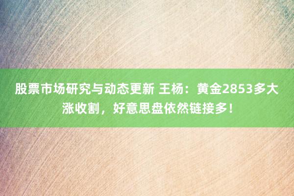 股票市场研究与动态更新 王杨：黄金2853多大涨收割，好意思盘依然链接多！