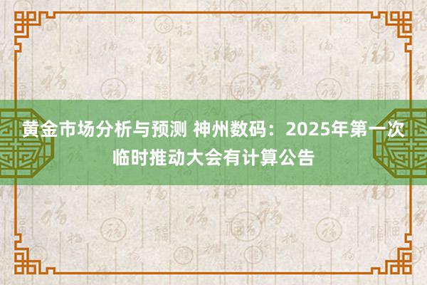 黄金市场分析与预测 神州数码：2025年第一次临时推动大会有计算公告