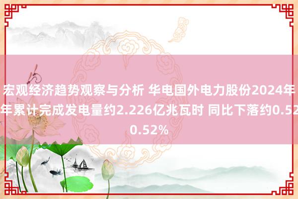 宏观经济趋势观察与分析 华电国外电力股份2024年全年累计完成发电量约2.226亿兆瓦时 同比下落约0.52%