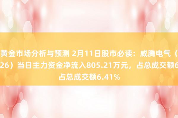 黄金市场分析与预测 2月11日股市必读：威腾电气（688226）当日主力资金净流入805.21万元，占总成交额6.41%