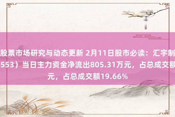 股票市场研究与动态更新 2月11日股市必读：汇宇制药（688553）当日主力资金净流出805.31万元，占总成交额19.66%