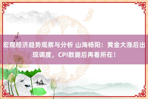 宏观经济趋势观察与分析 山海杨阳：黄金大涨后出现调度，CPI数据后再看所在！