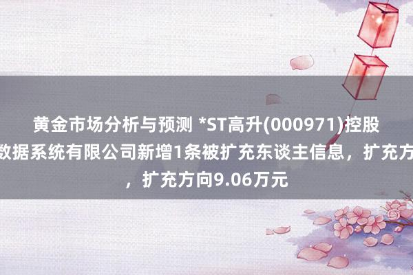 黄金市场分析与预测 *ST高升(000971)控股的北京高升数据系统有限公司新增1条被扩充东谈主信息，扩充方向9.06万元