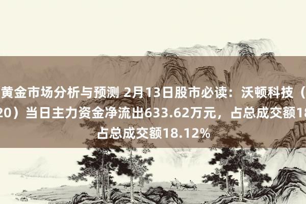 黄金市场分析与预测 2月13日股市必读：沃顿科技（000920）当日主力资金净流出633.62万元，占总成交额18.12%