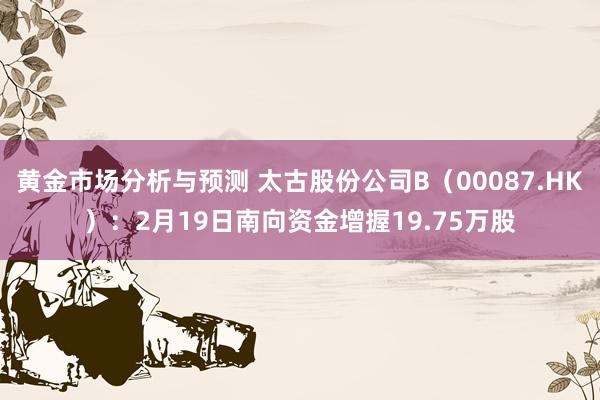 黄金市场分析与预测 太古股份公司B（00087.HK）：2月