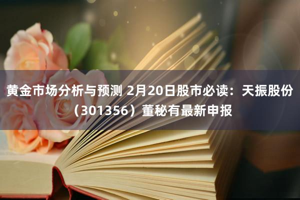 黄金市场分析与预测 2月20日股市必读：天振股份（30135